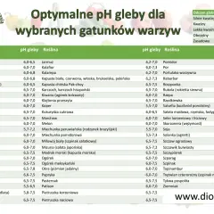 Tabela pH gleby dla roślin: optymalne wartości dla warzyw i ziół, od amarantusa po ziemniaki.