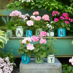 Kolorowe pelargonie w słoikach z literami tworzą napis "GARDEN JOY". Wskazówki jak sadzić pelargonie znajdziesz w tym pięknym, zielonym zakątku.