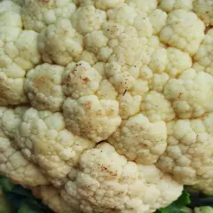 Zbliżenie na kalafior z widocznymi drobnymi, brązowymi i czarne kropki na kalafiorze, tworzące naturalny wzór na jego różyczkach.