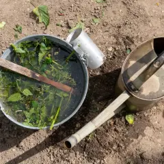 Wiadro z pokrzywami i wodą, obok konewka. Tak przygotowuje się naturalny nawóz z pokrzywy.