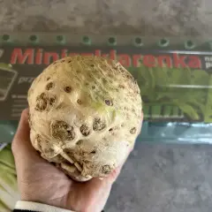 Dłoń trzyma okrągły, ziemisty seler korzeniowy. W tle opakowanie z napisem "Mini szklarenka na każdy parapet".