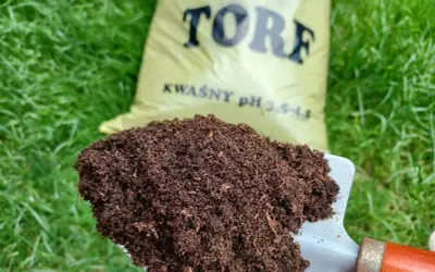 Łopata z torfem, który jest naturalnym materiałem organicznym, idealnym do zakwaszania gleby.