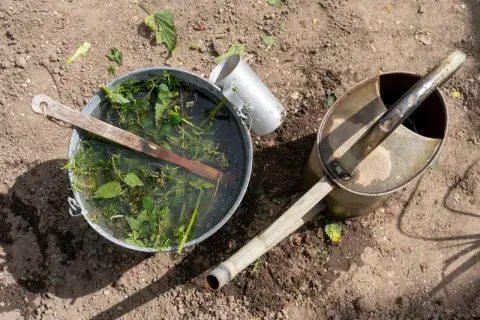 Wiadro z pokrzywami i wodą, obok konewka. Tak przygotowuje się naturalny nawóz z pokrzywy.