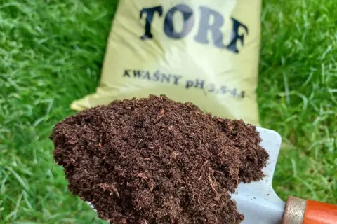 Łopata z torfem, który jest naturalnym materiałem organicznym, idealnym do zakwaszania gleby.