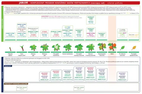 Schemat nawożenia jabłoni: od pękania pąków do zbioru, z uwzględnieniem terminów nawożenia i preparatów.
