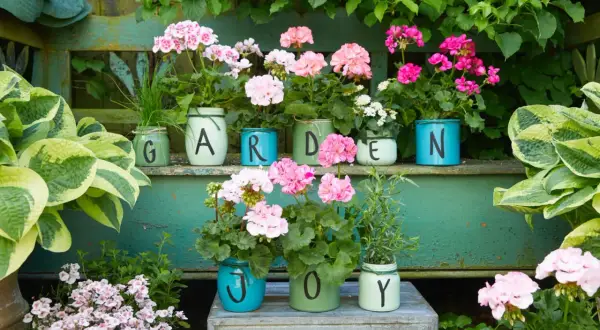 Kolorowe pelargonie w słoikach z literami tworzą napis "GARDEN JOY". Wskazówki jak sadzić pelargonie znajdziesz w tym pięknym, zielonym zakątku.