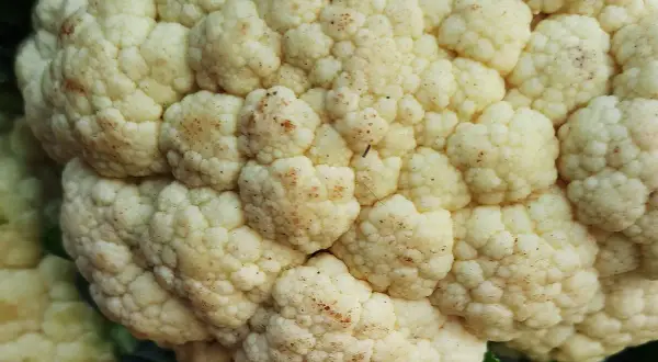 Zbliżenie na kalafior z widocznymi drobnymi, brązowymi i czarne kropki na kalafiorze, tworzące naturalny wzór na jego różyczkach.