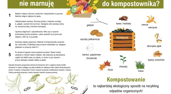 Kompostownik przyjmie gałęzie, fusy, skorupki jajek, łupiny orzechów, liście, trawę, chwasty, owoce, warzywa, pieczywo, papierowe chusteczki.