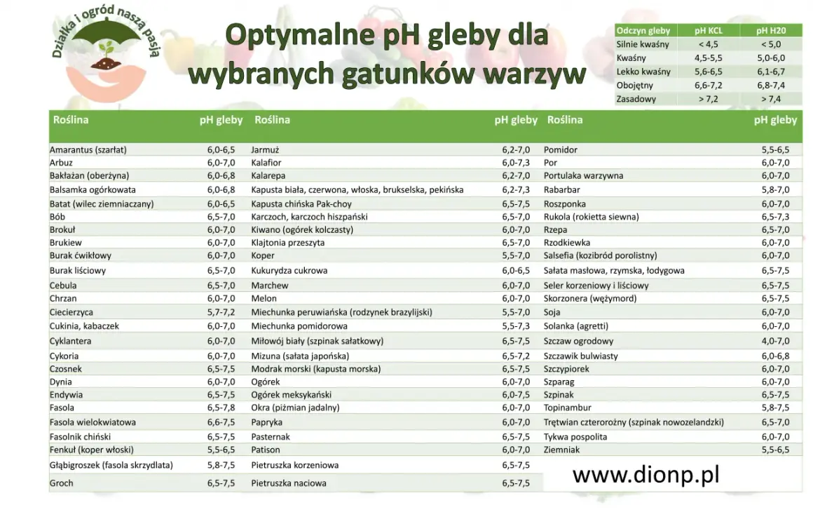 Tabela pH gleby dla roślin: optymalne wartości dla warzyw i ziół, od amarantusa po ziemniaki.