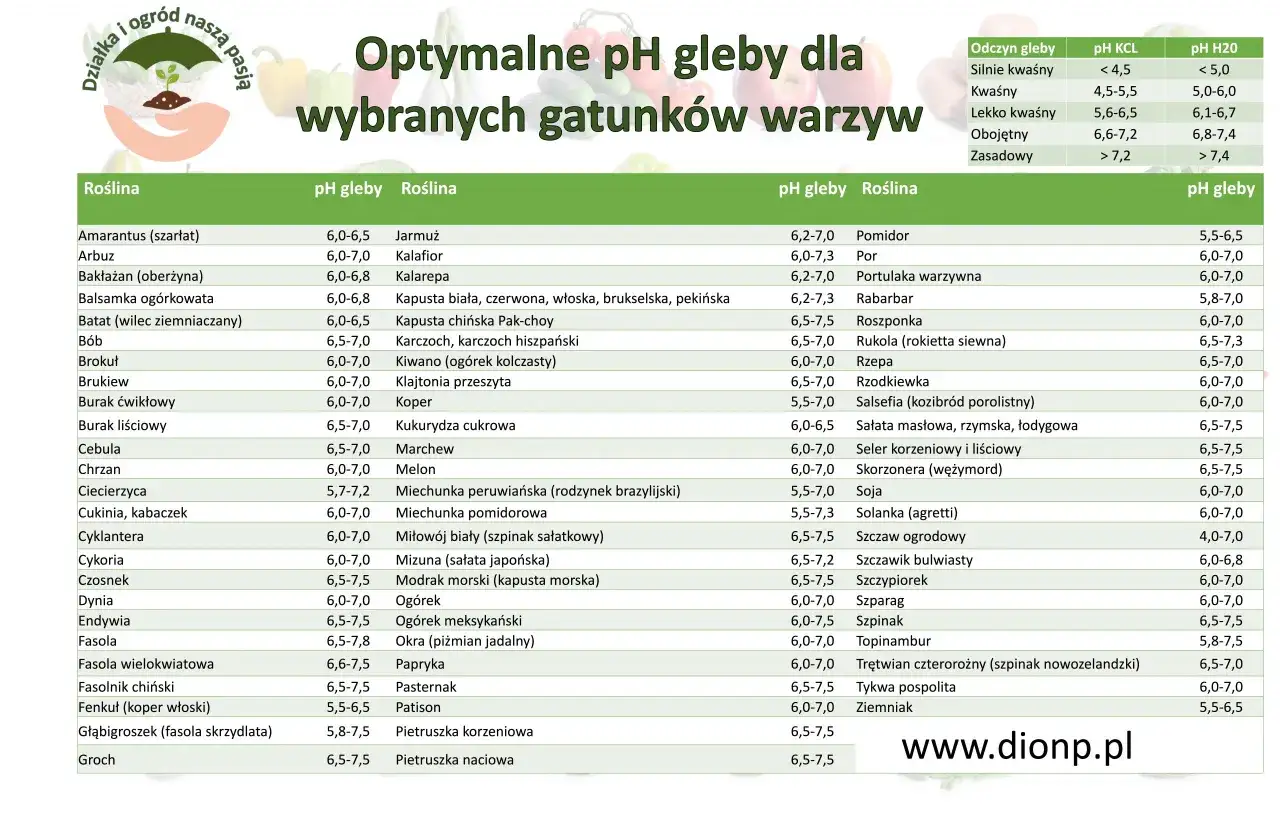 Tabela pH gleby dla roślin: optymalne wartości dla warzyw, np. pomidora (5,5-6,5), cebuli (6,5-7,0) i og&oacute;rka (6,0-7,0).