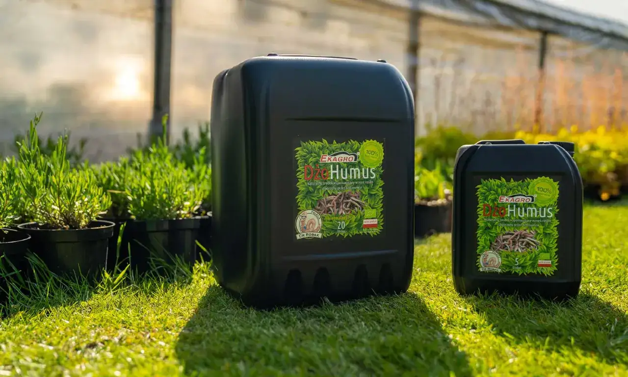 Dżo Humus – naturalny biohumus do jakich roślin? Idealny dla wszystkich roślin, wspiera ich wzrost.