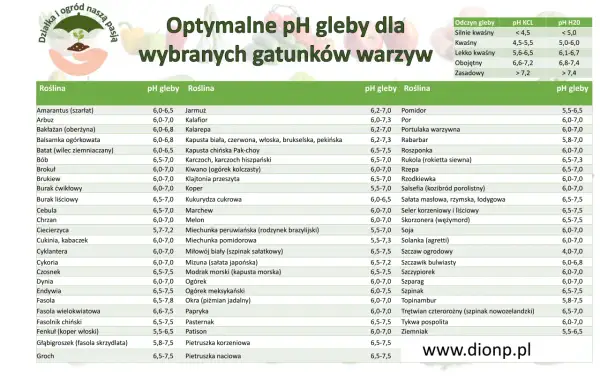 Tabela pH gleby dla roślin: optymalne wartości dla warzyw i ziół, od amarantusa po ziemniaki.