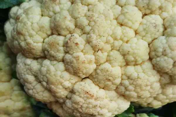 Zbliżenie na kalafior z widocznymi drobnymi, brązowymi i czarne kropki na kalafiorze, tworzące naturalny wzór na jego różyczkach.